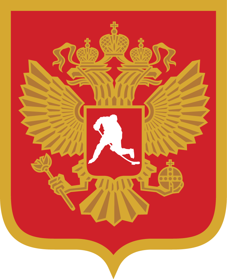 Russia 2016-Pres Alternate Logo iron on heat transfer